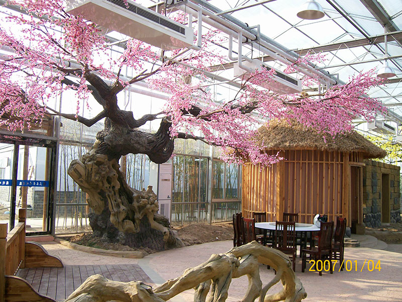 案例展示